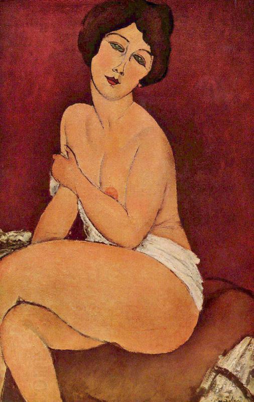 Amedeo Modigliani Nude Sitting on a Divan China oil painting art